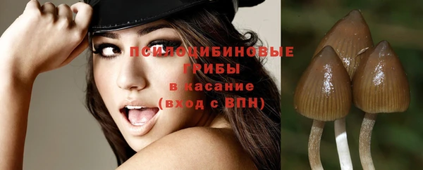 тгк Алзамай